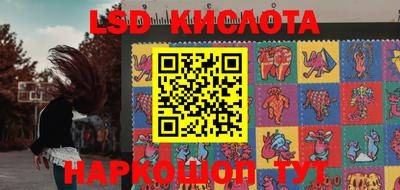 молекула духа Будённовск