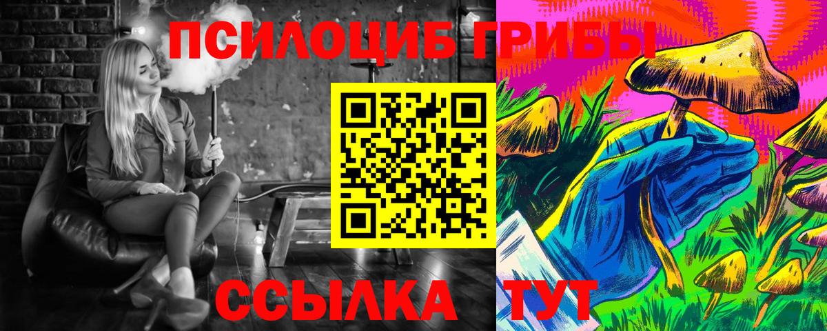 Псилоцибиновые грибы Psilocybe  Вход с VPN  Псилоцибиновые грибы прущие грибы  Рязань 