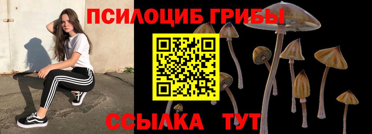 Галлюциногенные грибы Magic Shrooms Рязань